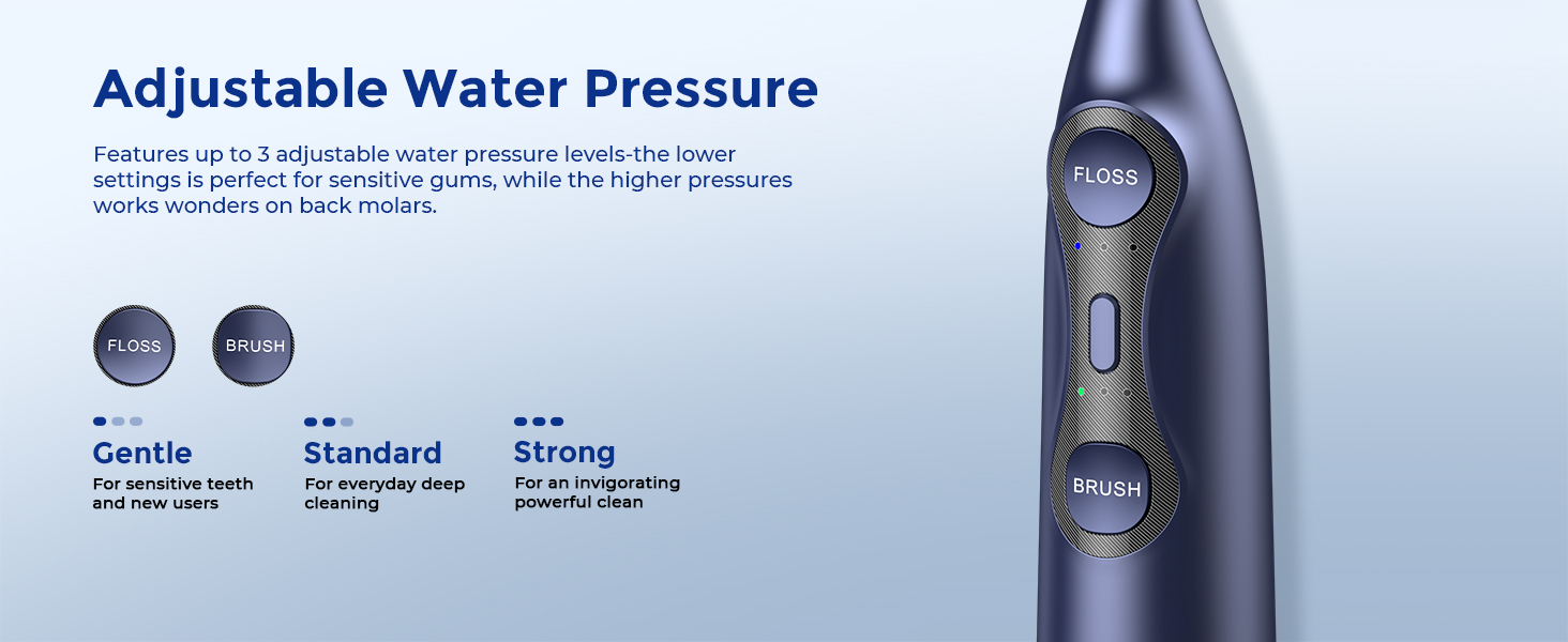 electric toothbrush with water flosser