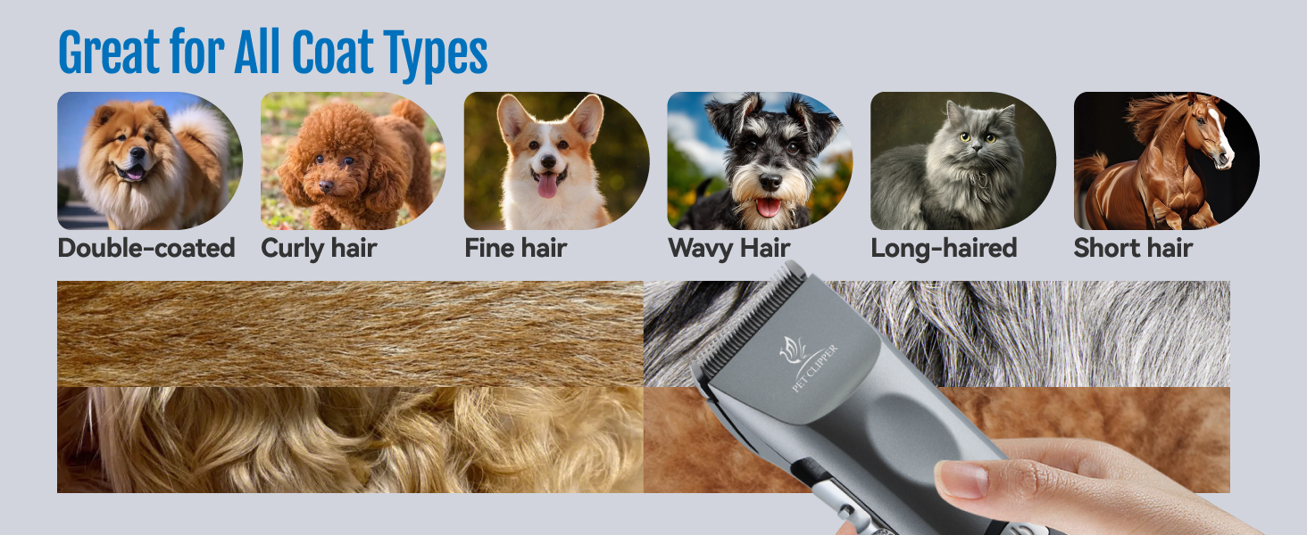 cordless clipper