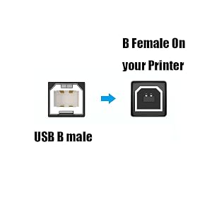 USB B male