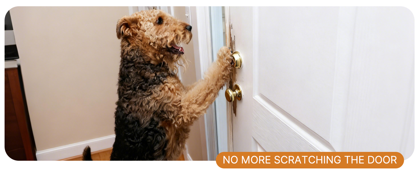 scratch the door