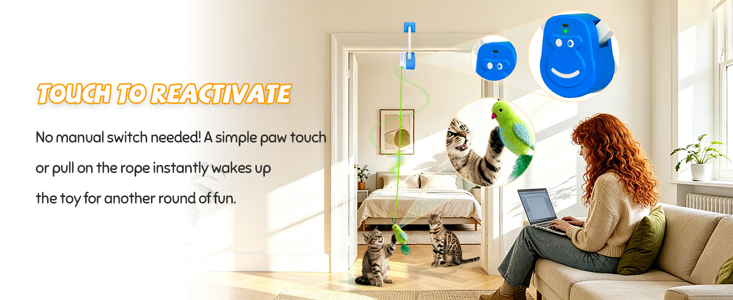 Motion activated door frame cat toy for indoor cats with touch reactivation