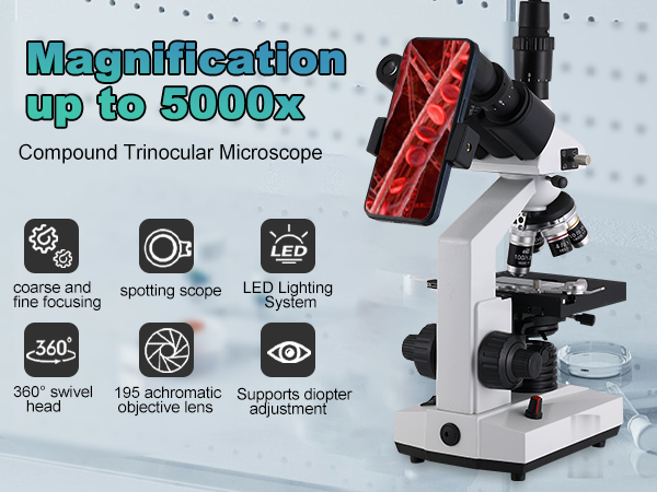 microscope