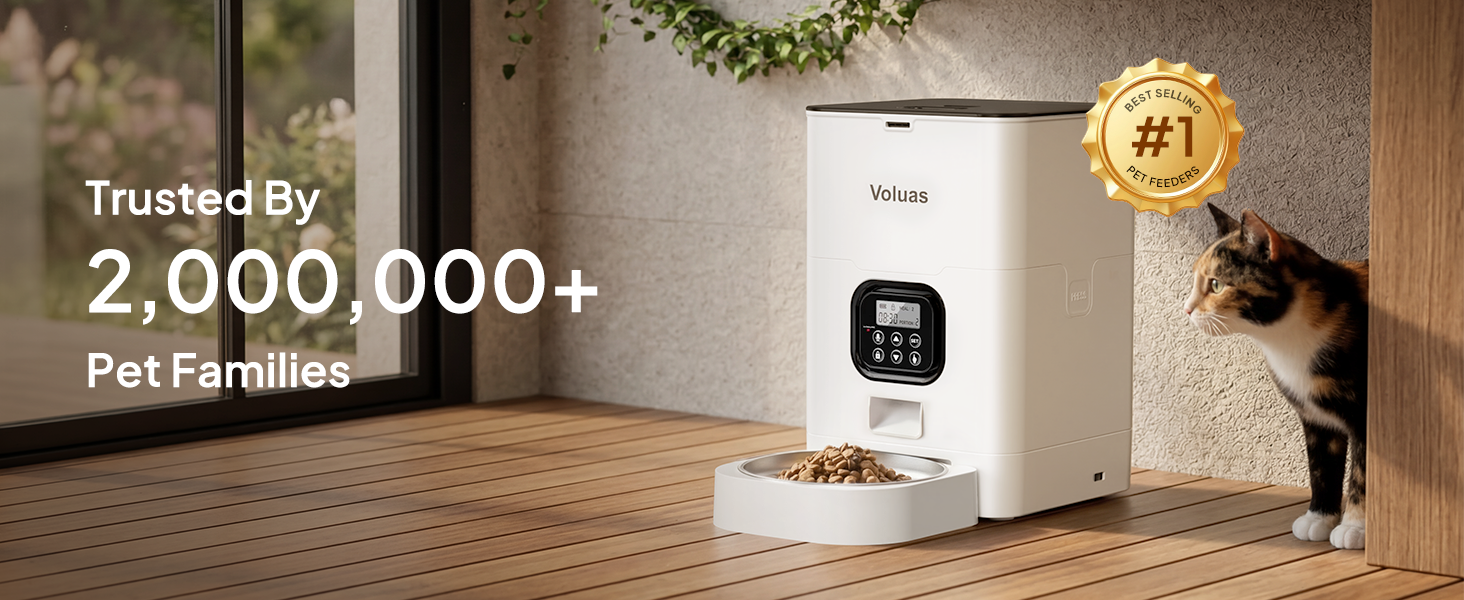 Automatic Cat Feeders