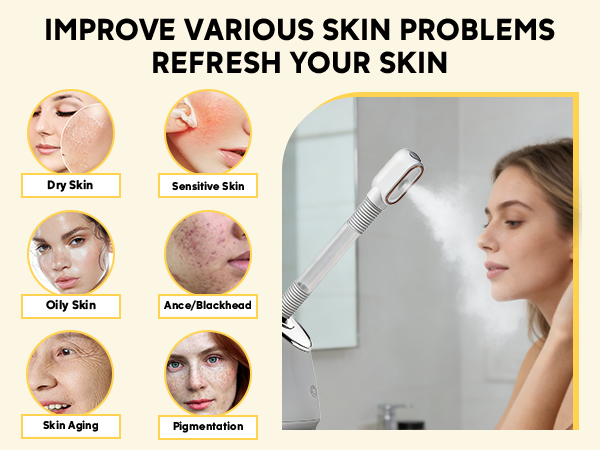 facial steamer professional