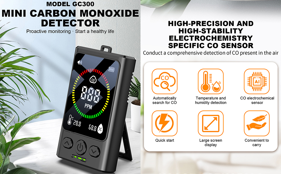 Portable Carbon Monoxide Detector