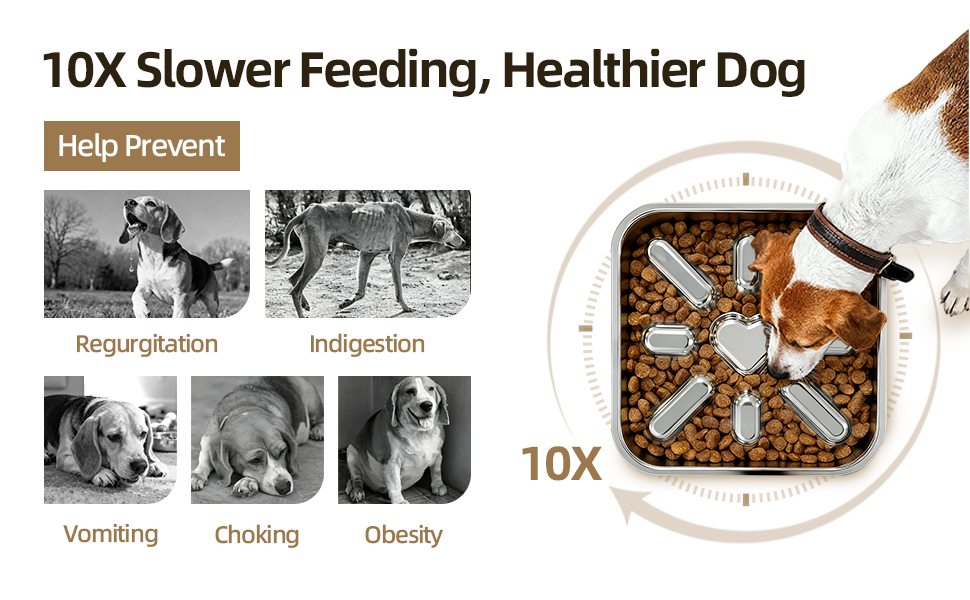 stainless steel slow feed dog bowl