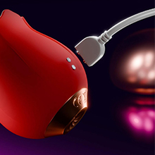 Rose Toys Charger Cable