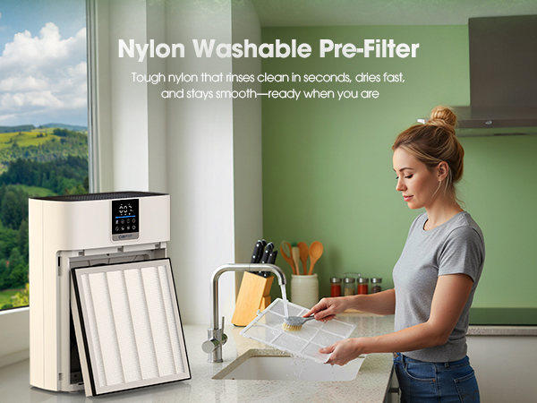 mold air purifiers for home