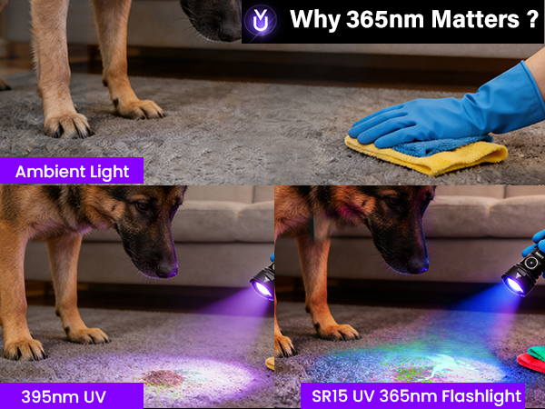 365nm edc uv light rechargeable