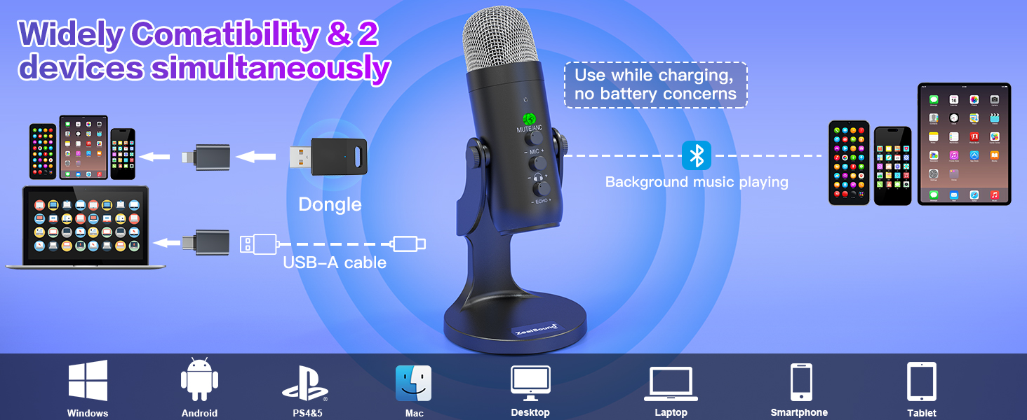 mic