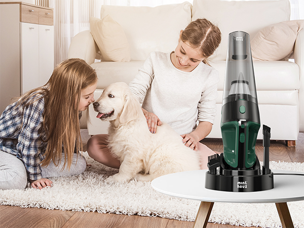 car vacuum portable cordless