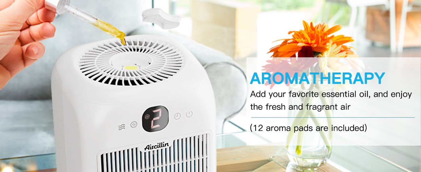  Air Purifier for Home large room