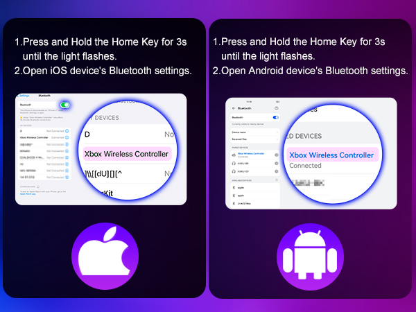 Controller for Nintendo Switch