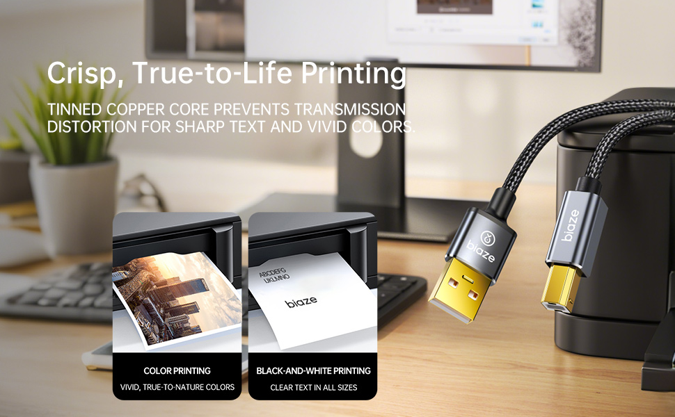 Printer Cable Splitter 2 in 1 Out