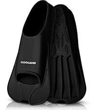 https://m.media-amazon.com/images/I/41pwuOwI-wL.__AC_SR200,225___.jpg