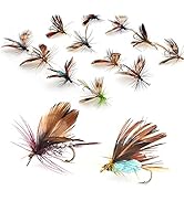 Lilureena Fly Fishing Fly Kit with Tackle Dry/Wet Fly Handcrafted Fly Fishing Lure Fly, Streamer ...