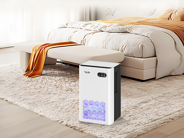 dehumidifier for bedroom