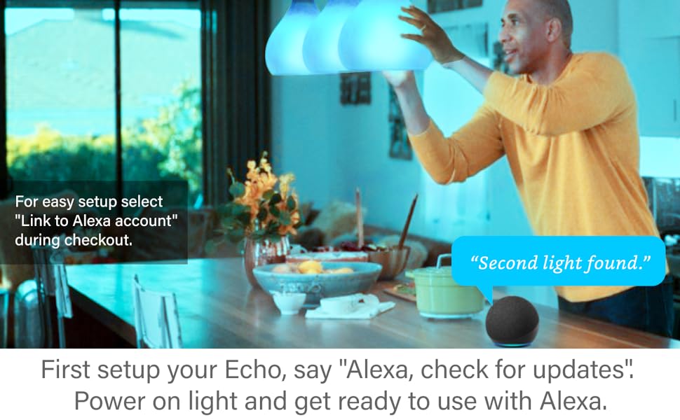 Sengled Light Bulbs