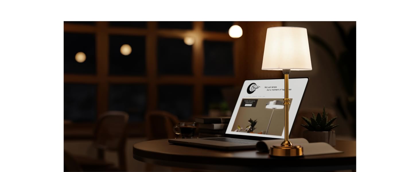 tl19b