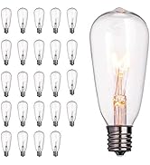 Brightown 24-Pack Edison Replacement Light Bulbs,7W E17 Screw Base ST40 Replacement Clear Glass L...