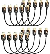 RyzzRooa Short 4K DisplayPort Cable 1 FT, 10-Pack DP to DP Cables, Display Port Cable Male to Mal...