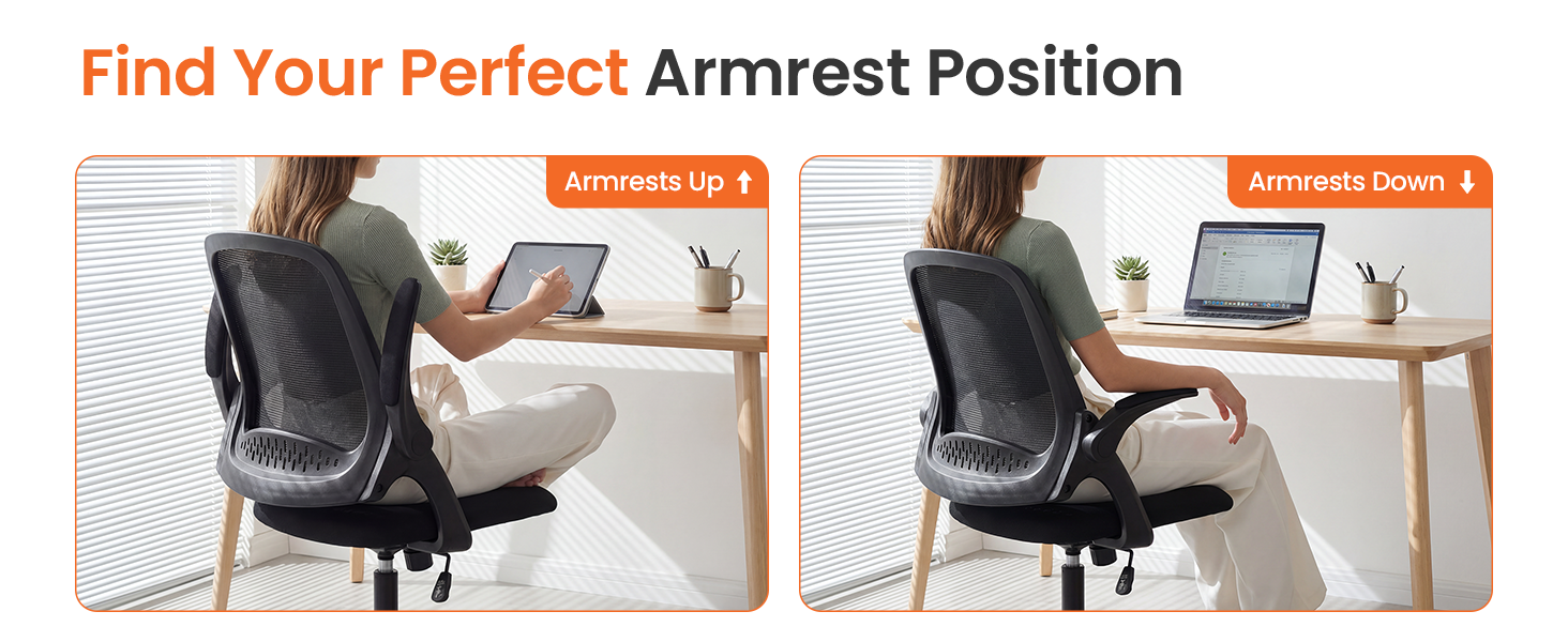 Desk Chair with Customizable Armrests