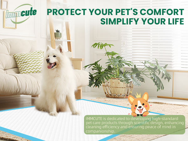 100 count dog pads