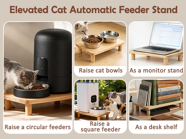 automatic cat feeder elevated stand