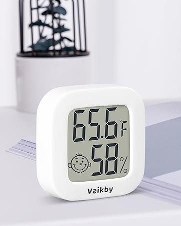 Room Thermometer