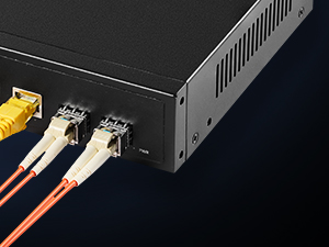 12-Port Gigabit PoE Switch