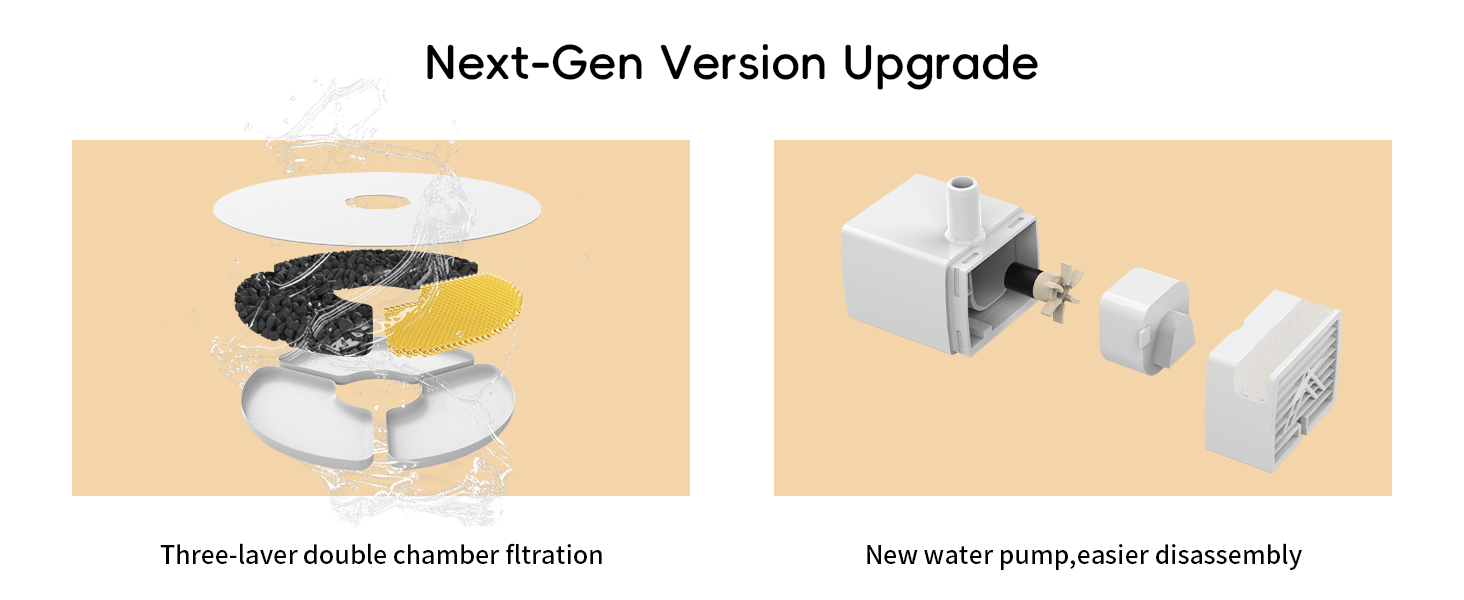 Next-Gen Version Upgrade