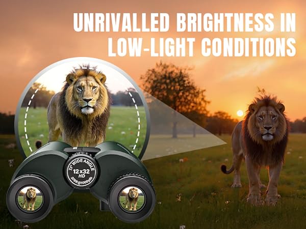 bright binoculars