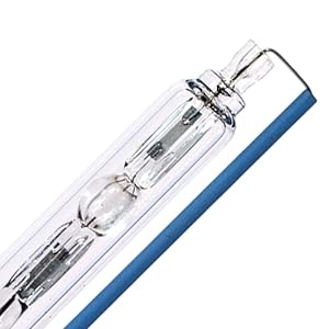 OE Bulb