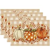 RABUSOFA Buffalo Plaid Polka Dot Pumpkins Fall Placemats Set of 4 | 12x18 Inch Autumn Thanksgivin...