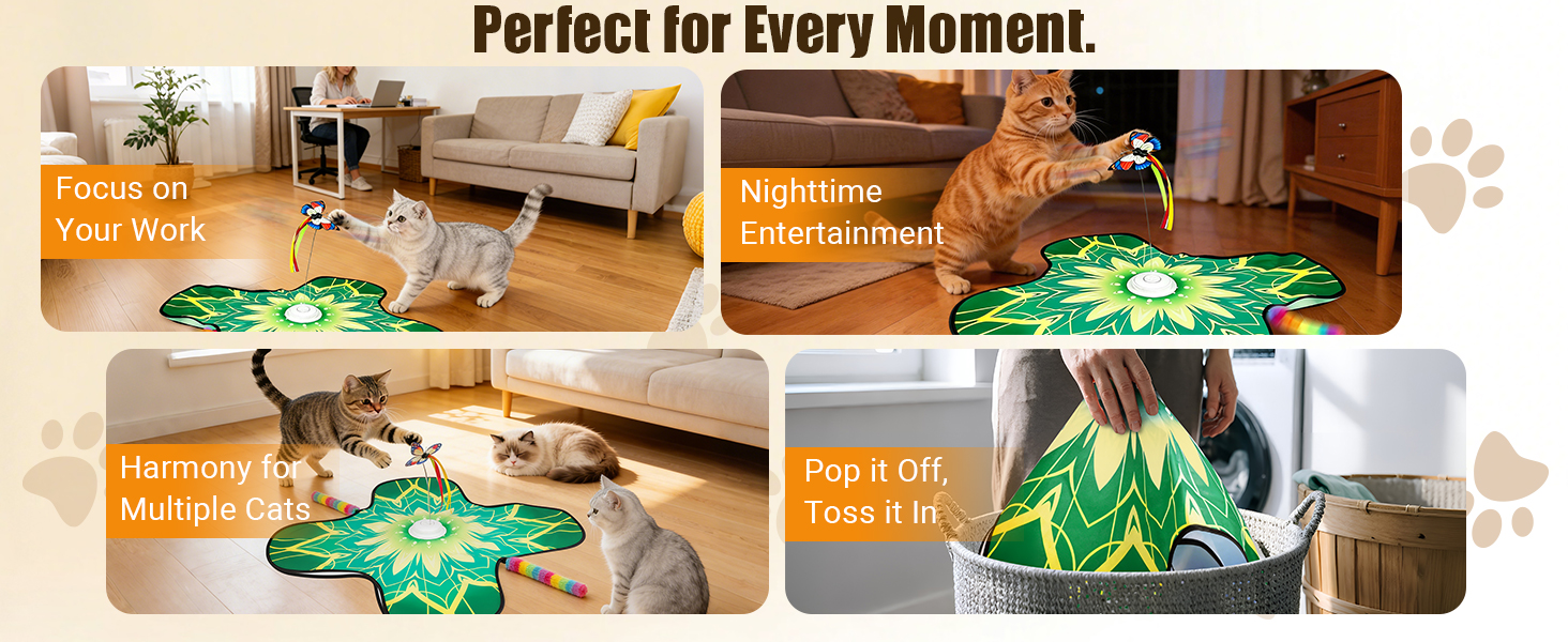interactive cat toys for indoor cats
