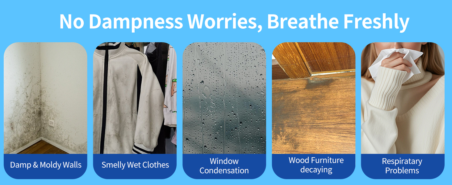 basement dehumidifier-11