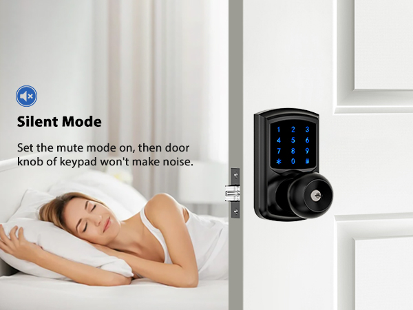 Keyless entry door lock