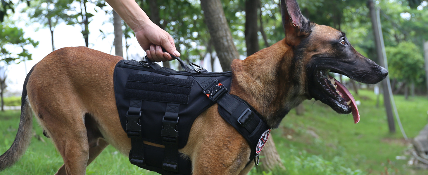 dog harness with handle