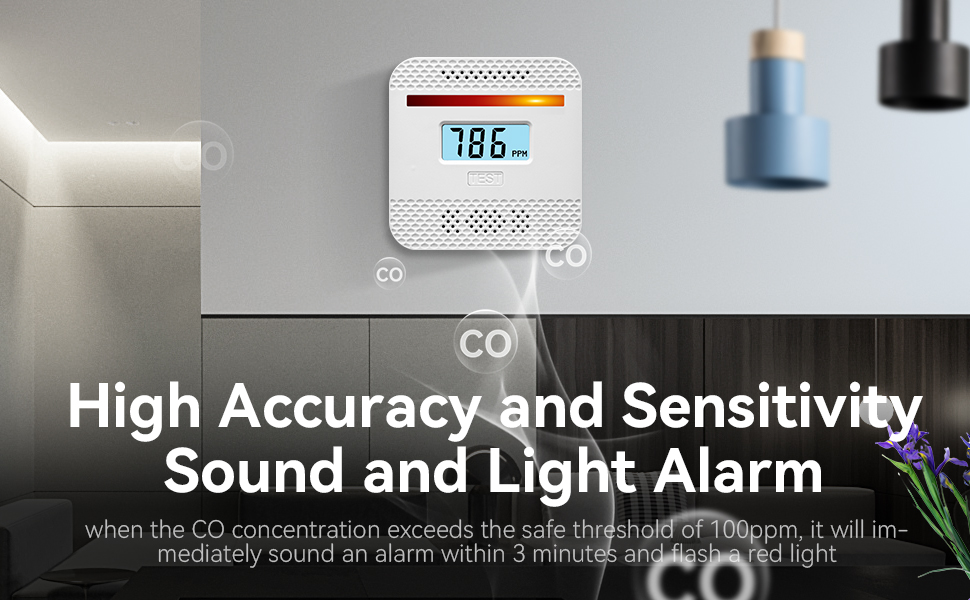 carbon monoxide detectors