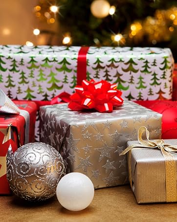 https://m.media-amazon.com/images/S/aplus-media-library-service-media/05b7d6e3-f74d-41fe-a929-4e94645e7553.__CR0,0,538,673_PT0_SX362_V1___.jpg