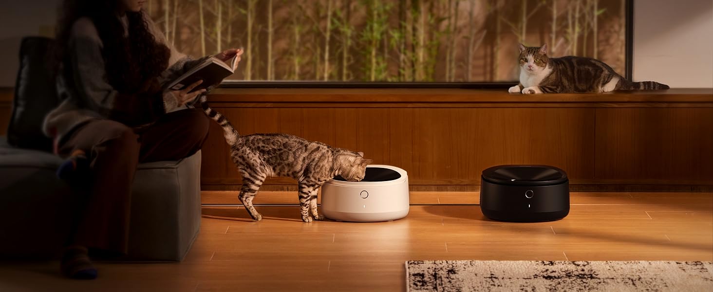 automatic cat feeder