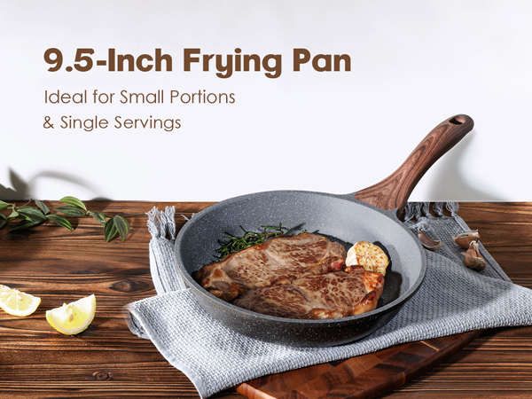 9.5 inch pan
