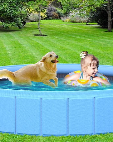 dog pool