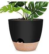 YNNICO 12 inch Large Self Watering Plant Pots, Flower Pots Planters with Multi Mesh Drainage Hole...