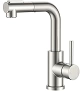 FORIOUS Modern Bar Sink Faucet Brushed Nickel, Stainless Steel Single Handle Small Kitchen Sink F...