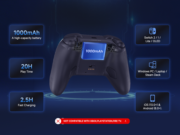switch 2 pro controller