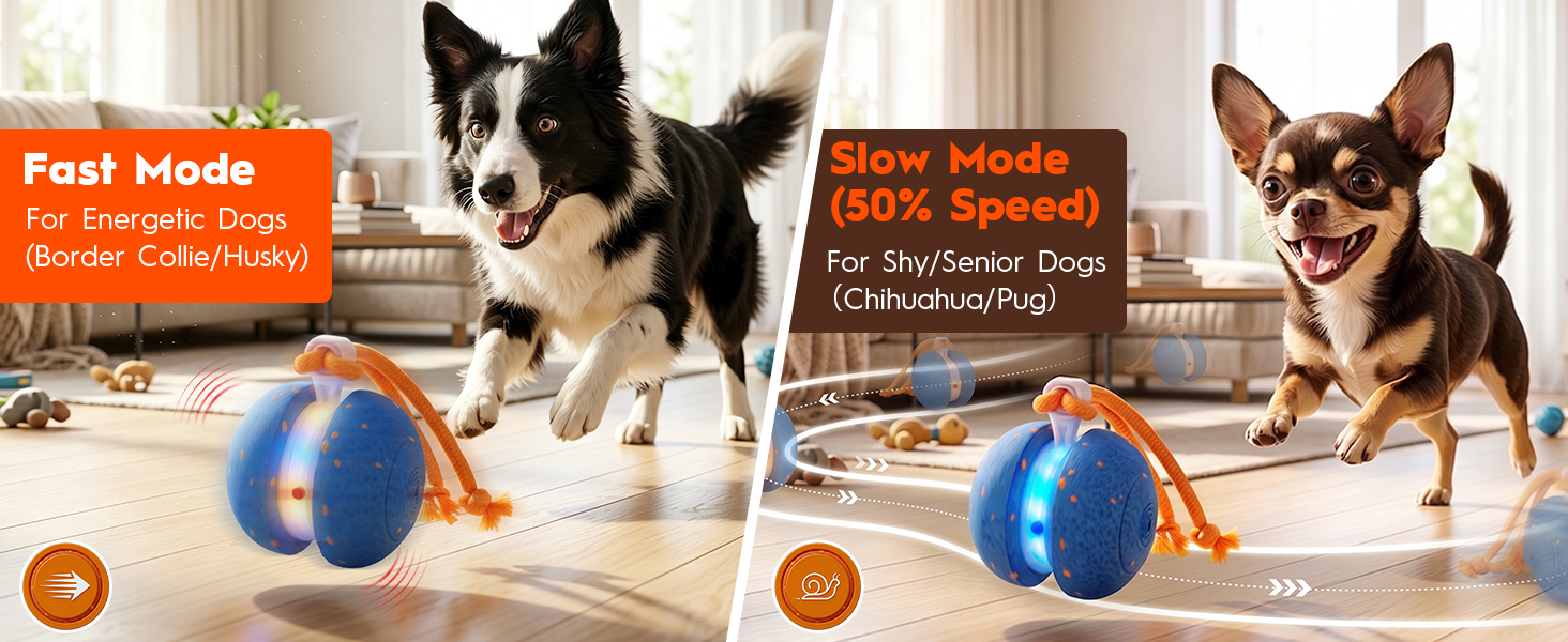 Interactive Rolling Dog Balls