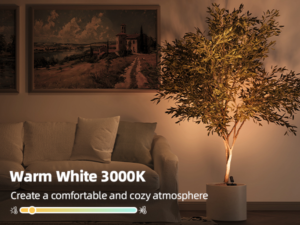 plant spotlight indoor