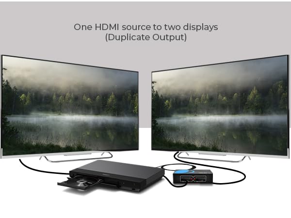 HDMI splitter setup diagram. One source connected to two identical displays showing misty forest scene. Text explains 'One HDMI source to two displays (Duplicate Output)'.