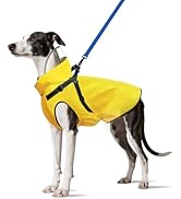 Dog Raincoat: Dog Rain Jacket with Reflective Harness &amp; Removable Hood | Waterproof Dogs Rain Coa...